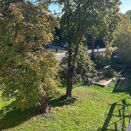 Cozy With Free Backyard Parking - Near Old Town! *